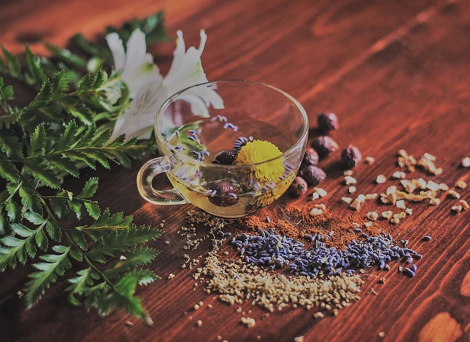Des aliments pour faciliter la digestion &ndash; une solution douce et naturelle pour une meilleure sant&eacute;