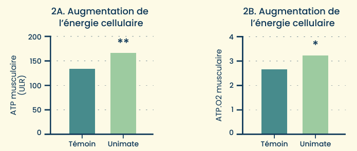 Etude scientifique Unicity unimate